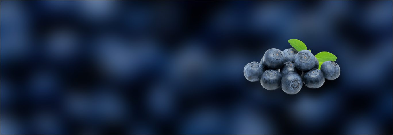 Banner image featuring fresh blueberries – exotic fruits and vegetables online
