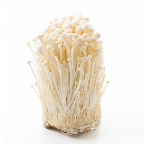 Mushroom Enoki From Thailand