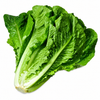 slider_img