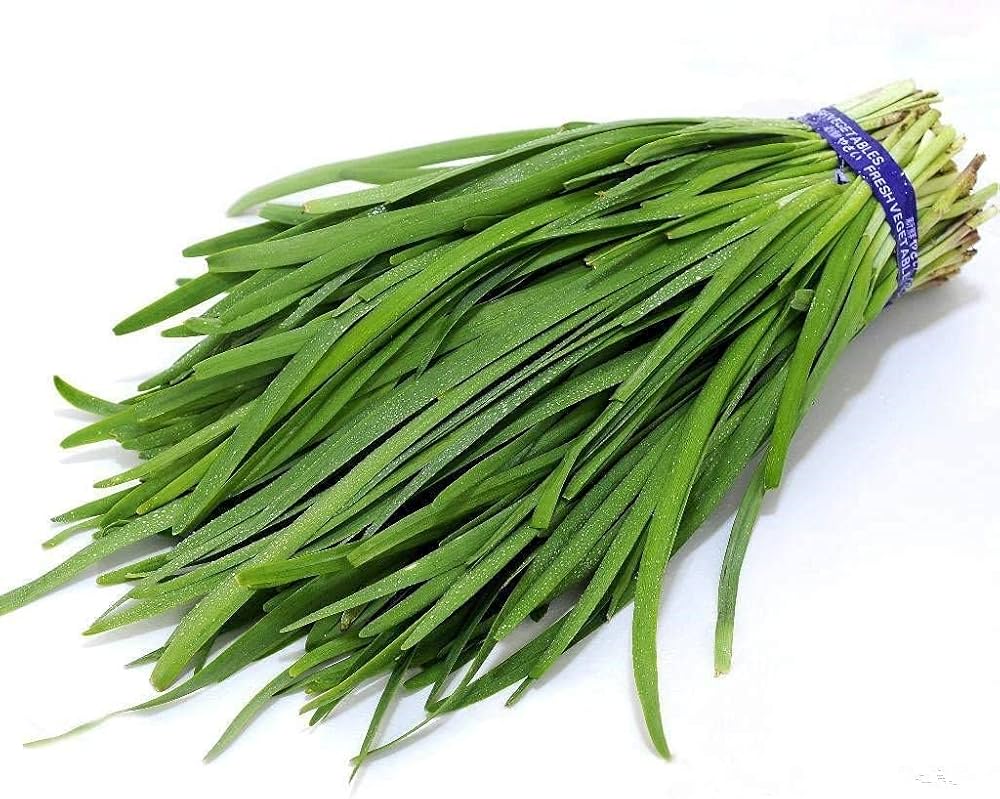 Garlic Chives