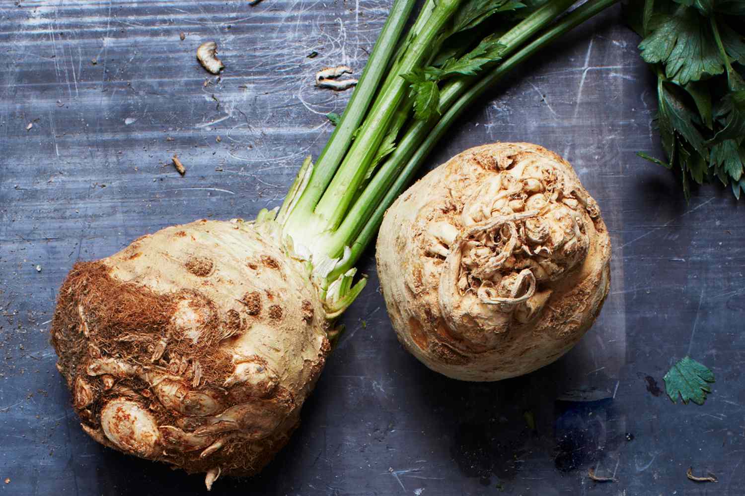 Celery Root from Holland