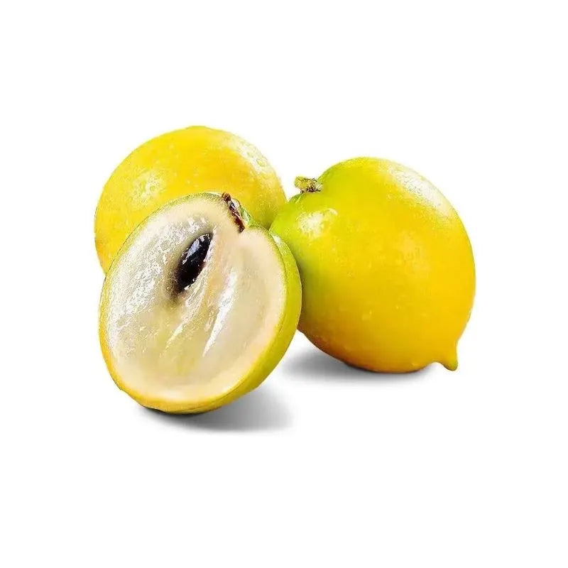 Abiu Fruit (Yellow Star Apple)