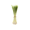 slider_img