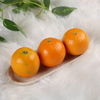 slider_img