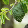 slider_img