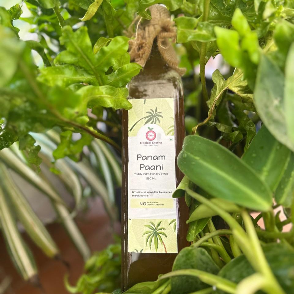 Panam Paani (Toddy Palm Honey/Syrup)