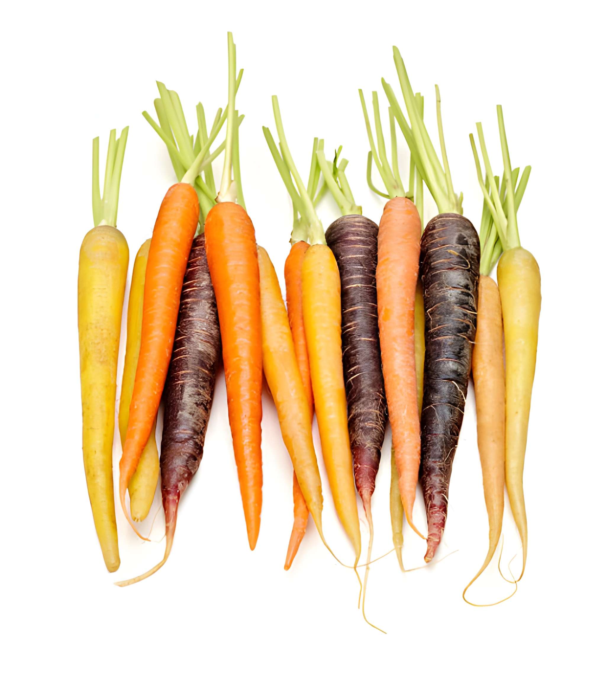 Rainbow carrots