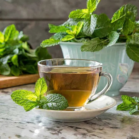 Spearmint Tea