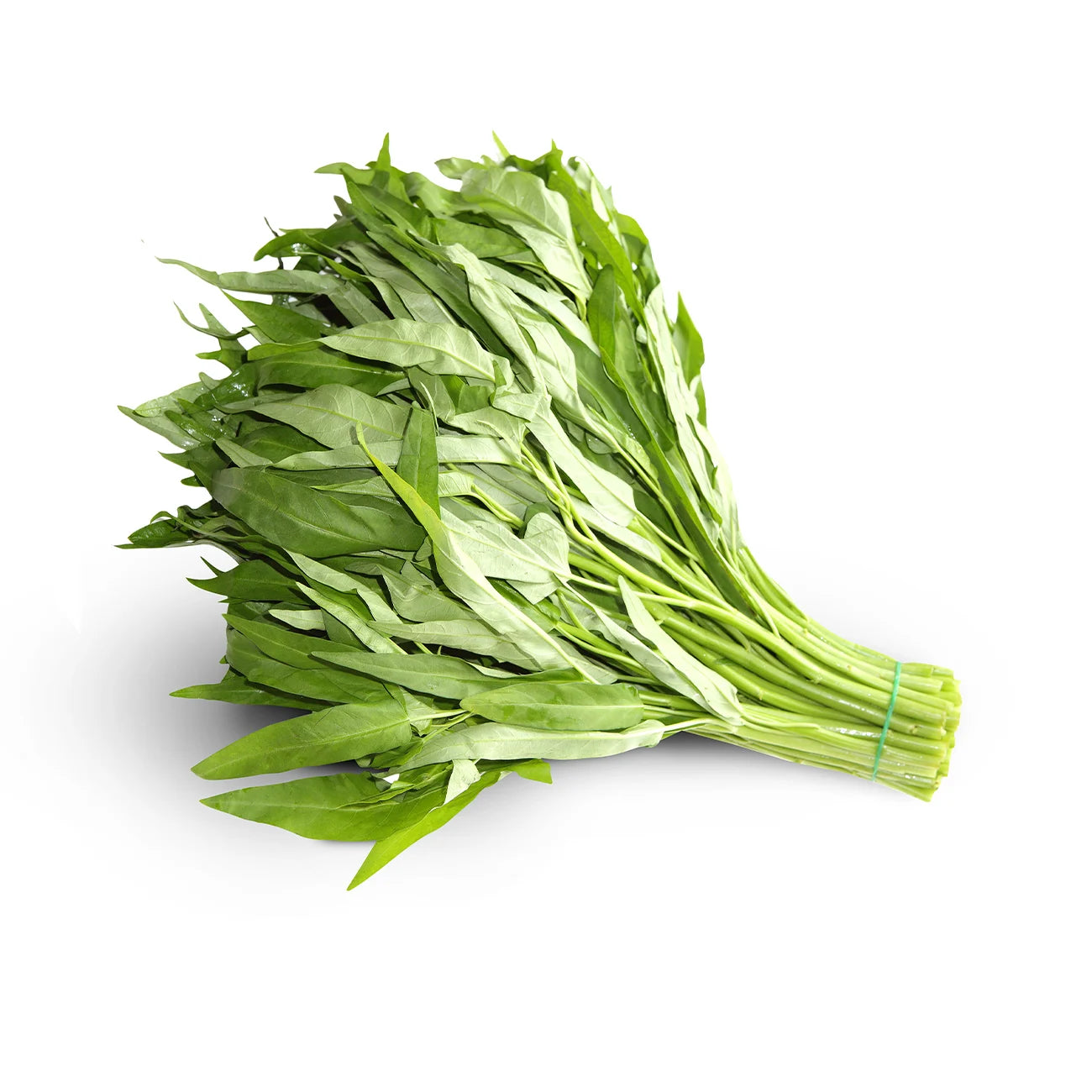 Water Spinach/ Kangkong/ Morning Glory