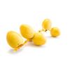 slider_img