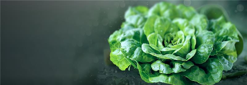 Fresh Exotic Vegetables