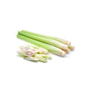 slider_img
