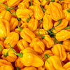 slider_img
