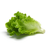 slider_img