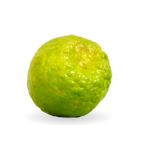 slider_img
