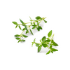 slider_img
