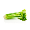 slider_img