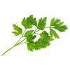 slider_img