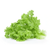 slider_img