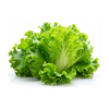 slider_img