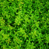 slider_img