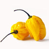 slider_img