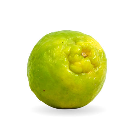 slider_img