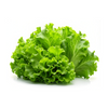 slider_img