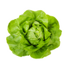 slider_img