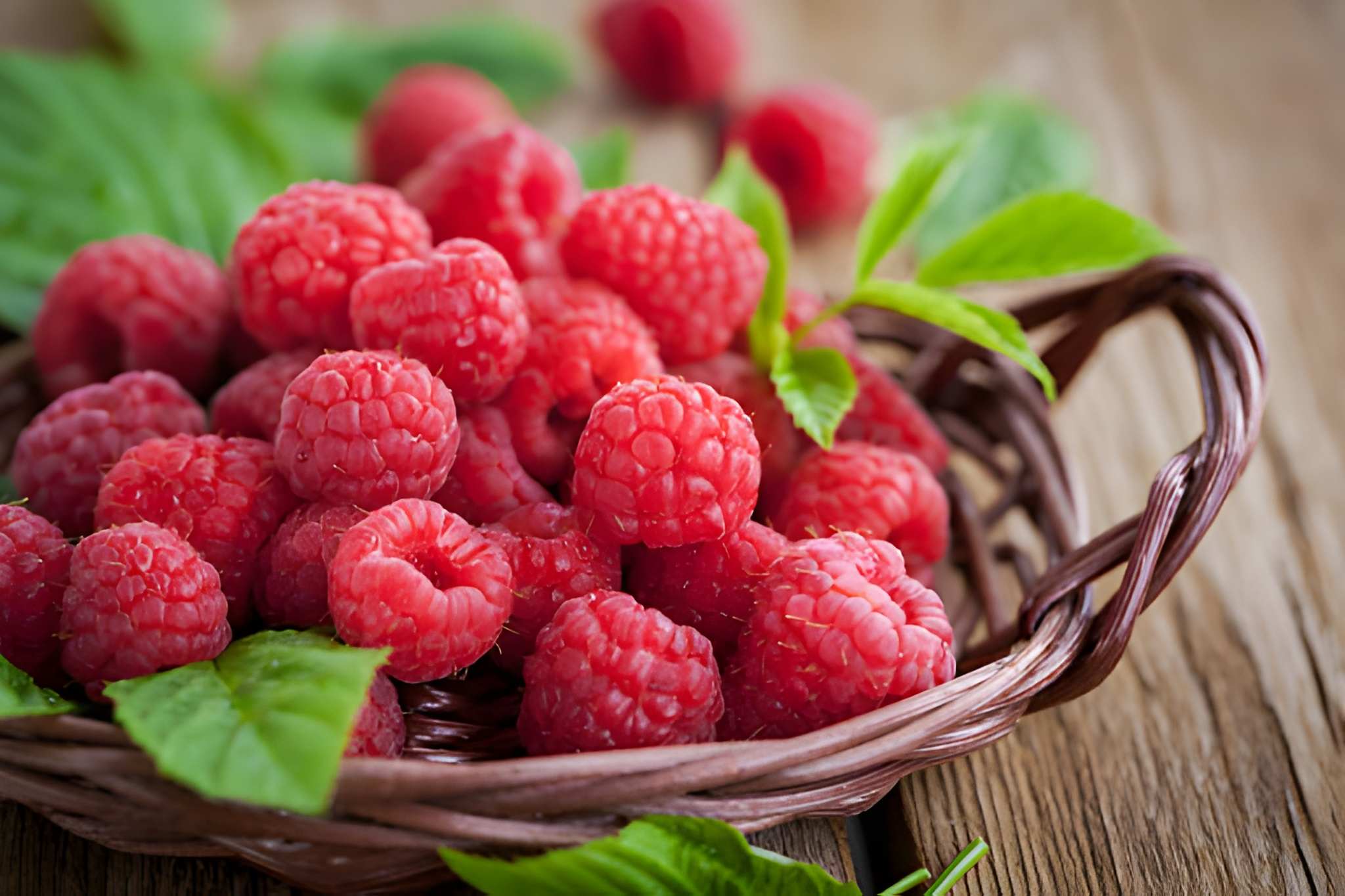 Raspberry From Holland
