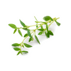 slider_img