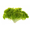 slider_img