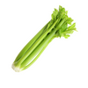slider_img