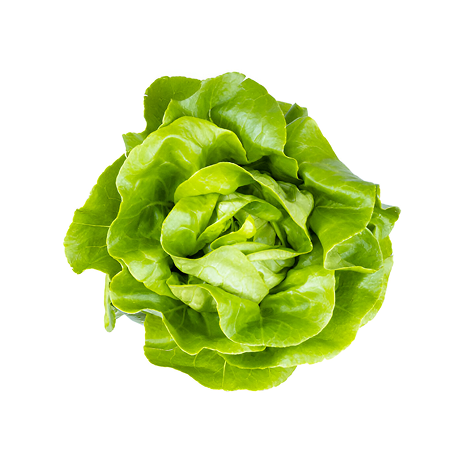 slider_img