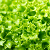 slider_img
