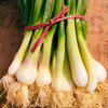 slider_img