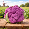 slider_img