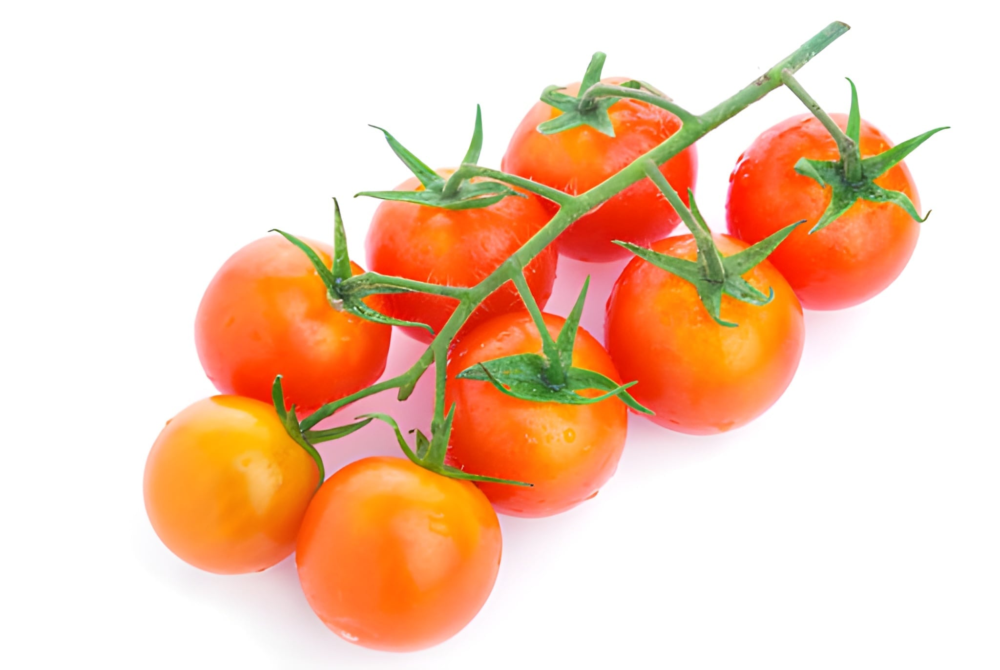 Orange Cherry Vine Tomatoes From Holland