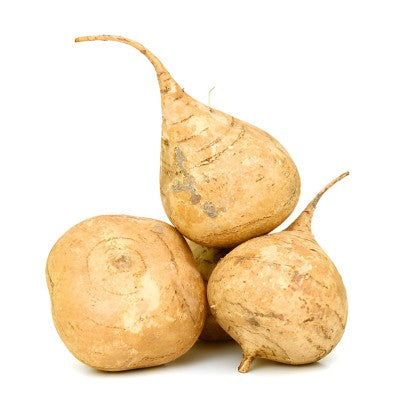 Yam Bean (Jicama)