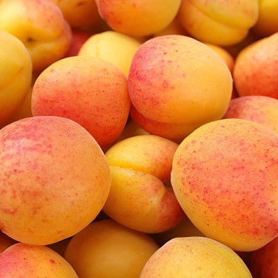 Apricot From Australia